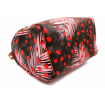 Louis Vuitton Speedy 30 Limited Monogram