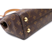 Louis Vuitton Cluny PM Monogram