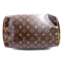 Louis Vuitton Speedy 30 Monogram