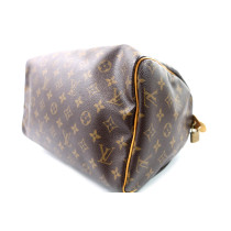Louis Vuitton Speedy 30 Monogram