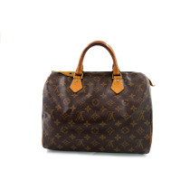 Louis Vuitton Speedy 30 Monogram