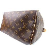 Louis Vuitton Speedy 25 Monogram