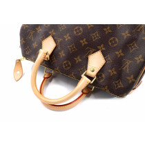 Louis Vuitton Speedy 30 Monogram
