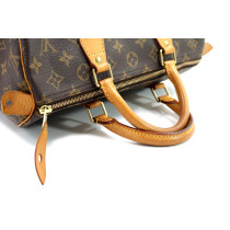 Louis Vuitton Speedy 30 Monogram