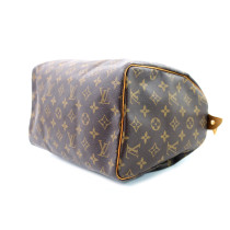 Louis Vuitton Speedy 30 Monogram