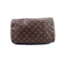 Louis Vuitton Speedy 30 Monogram
