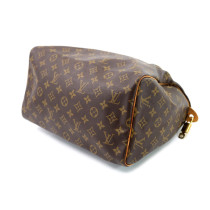 Louis Vuitton Speedy 30 Monogram