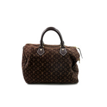 Louis Vuitton Speedy 30 Tessuto Marrone