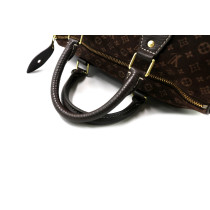 Louis Vuitton Speedy 30 Tessuto Marrone