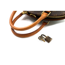 Louis Vuitton Ellipse Monogram