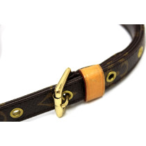 Louis Vuitton Tracolla Monogram