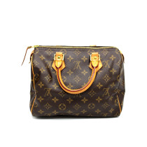 Louis Vuitton Speedy 25 Monogram