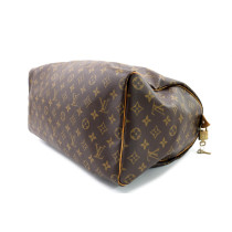 Louis Vuitton Speedy 40 Monogram
