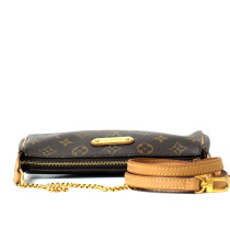 Louis Vuitton Eva Monogram