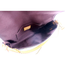 Louis Vuitton Favorite Monogram