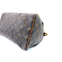 Louis Vuitton Speedy 30 Monogram