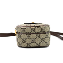 Gucci Neo Vintage Mini GG Beige