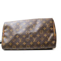 Louis Vuitton Speedy 30 Monogram