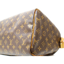 Louis Vuitton Speedy 30 Monogram