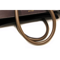 Celine Luggage 페레 트리컬러