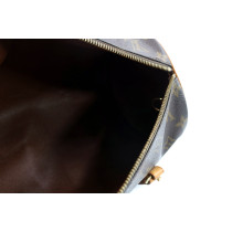 Louis Vuitton Papillon Monogram