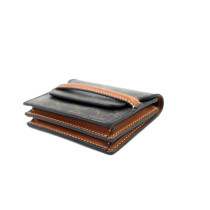 Celine Kartenhalter Triomphe Canvas Braun