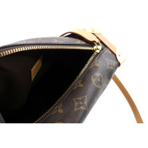 Louis Vuitton Trunk MM Monogram