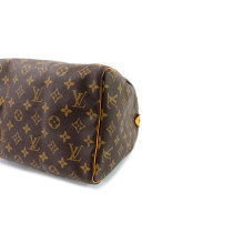 Louis Vuitton Speedy Monogram