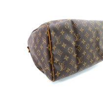 Louis Vuitton Speedy Monogram