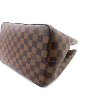 Louis Vuitton Neo Noé Damier Ebene