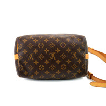 Louis Vuitton Speedy 25 Bandouliere Monogram