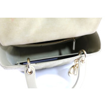 Dior Lady Python Multicolor