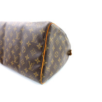 Louis Vuitton Speedy 30 Monogram
