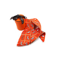 Hermes Twilly Seide Orange