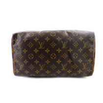 Louis Vuitton Speedy 30 Monogram