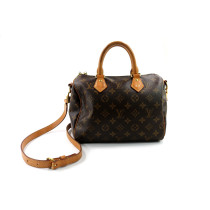 Louis Vuitton Speedy Monogram