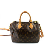 Louis Vuitton Speedy Monogram