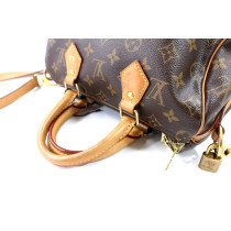 Louis Vuitton Speedy Monogram