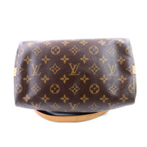Louis Vuitton Speedy Monogram