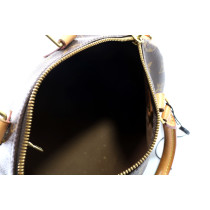 Louis Vuitton Speedy Monogram