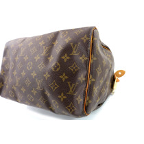 Louis Vuitton Speedy 30 Monogram