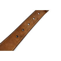 Gucci Cintura Tela Web