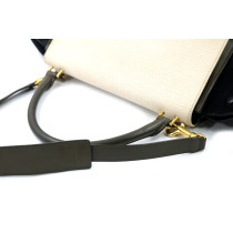 Cèline Trapeze Pelle Tricolor
