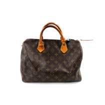 Louis Vuitton Speedy 30 Monogram