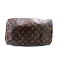 Louis Vuitton Speedy 30 Monogram