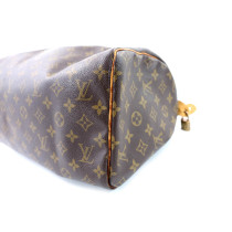 Louis Vuitton Speedy 30 Monogram