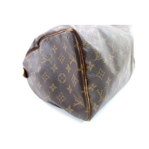 Louis Vuitton Speedy 30 Monogram