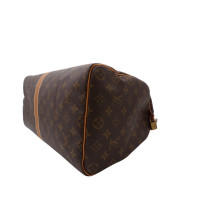 Louis Vuitton Speedy 40 Monogram