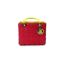 Dior Lady Dior Pelle Multicolor