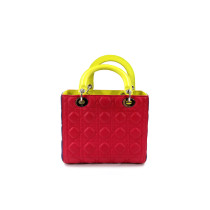 Dior Lady Dior Pelle Multicolor